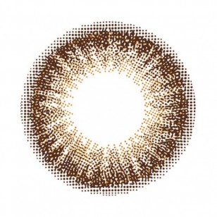 FLANMY Choco Tart 10片裝